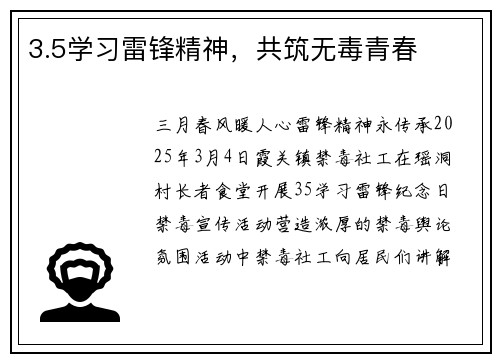 3.5学习雷锋精神，共筑无毒青春
