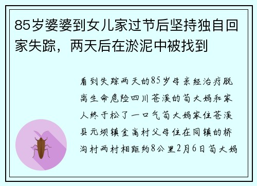 85岁婆婆到女儿家过节后坚持独自回家失踪，两天后在淤泥中被找到
