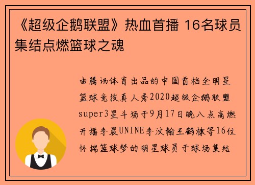 《超级企鹅联盟》热血首播 16名球员集结点燃篮球之魂