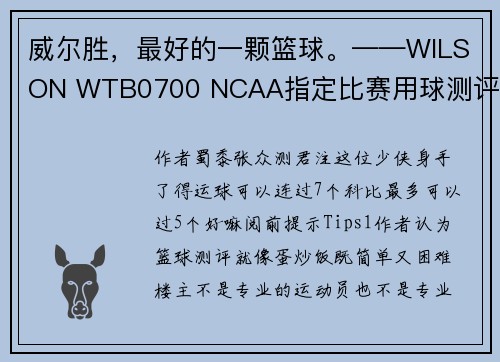 威尔胜，最好的一颗篮球。——WILSON WTB0700 NCAA指定比赛用球测评