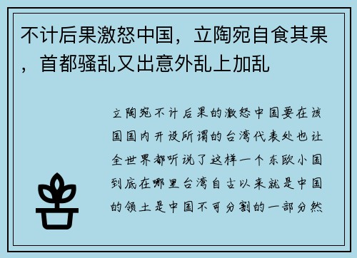 不计后果激怒中国，立陶宛自食其果，首都骚乱又出意外乱上加乱